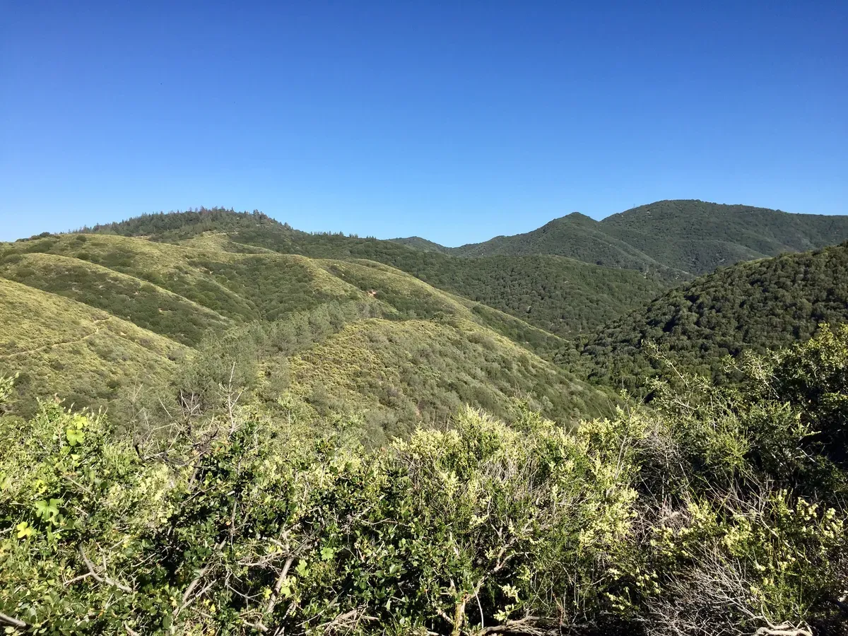 It doesn’t LOOK like the desert…