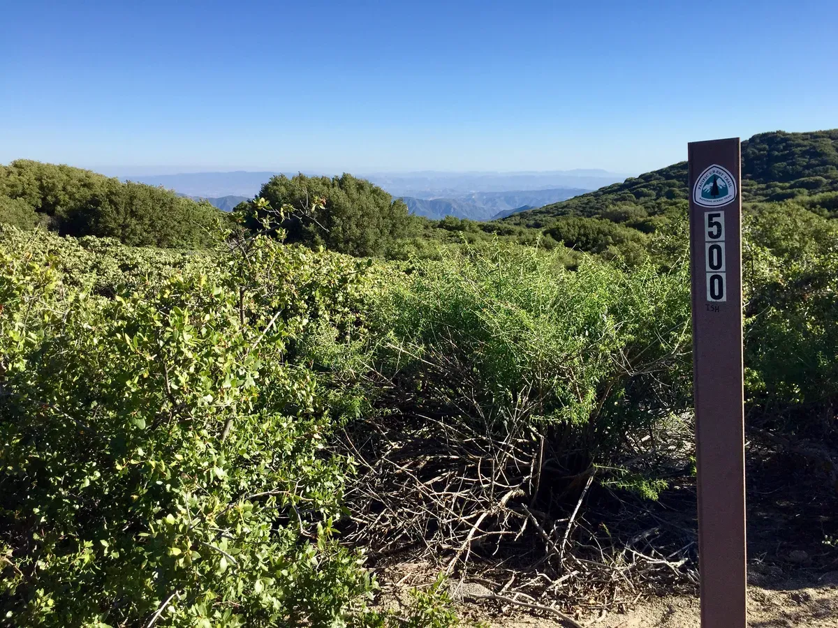 Day 26 – The Hills Have Flies