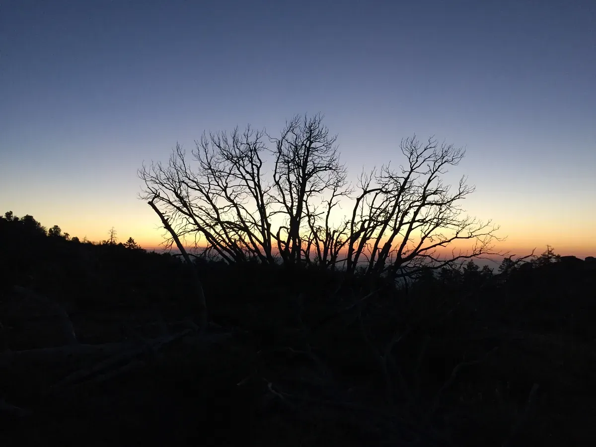 Day 30 – Trying to be nocturnal