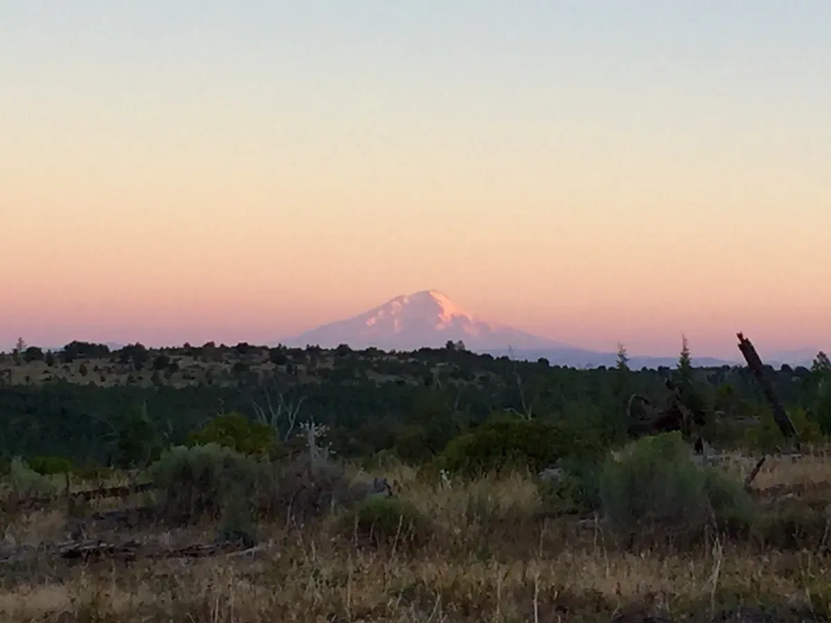 Mount Shasta